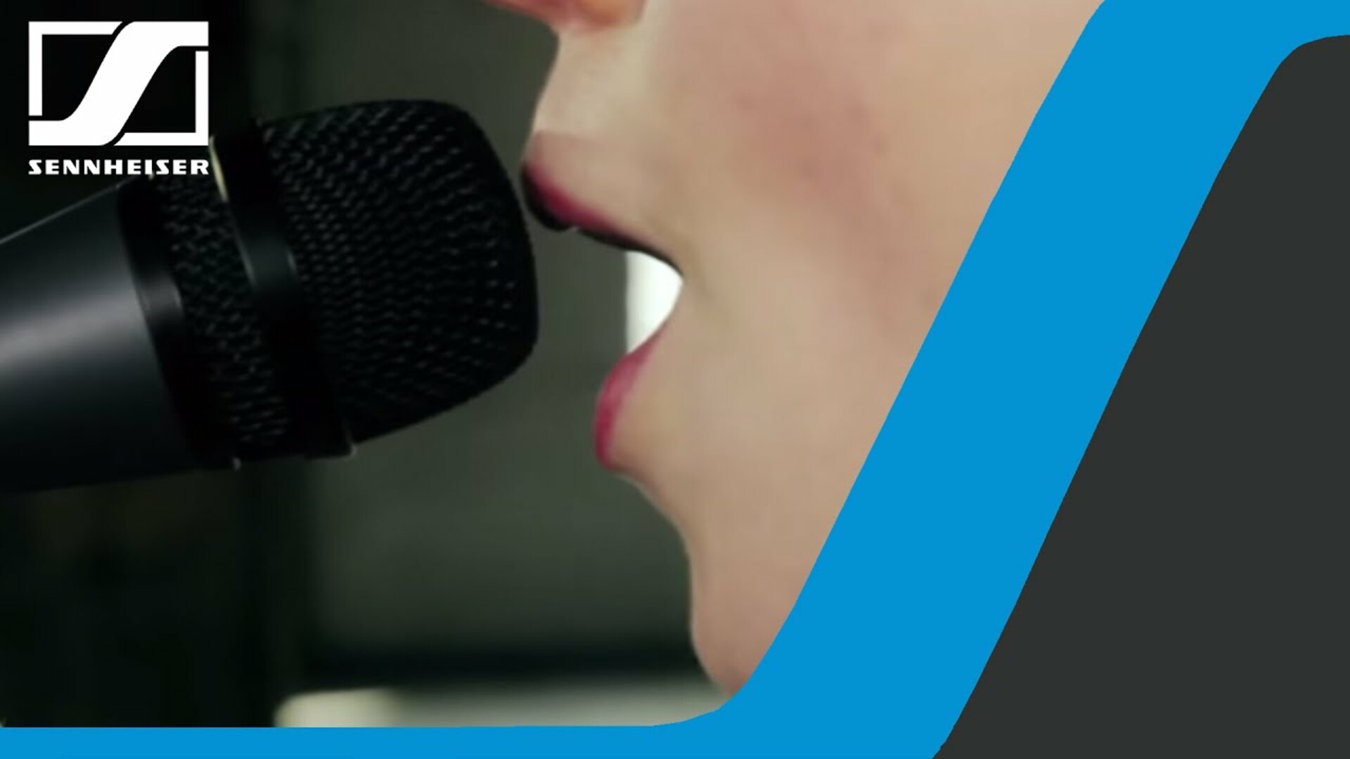 e 835 Vocal and Speech Dynamic Microphone