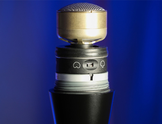 Các mẫu cực khác nhau cho các màn trình diễn khác nhau